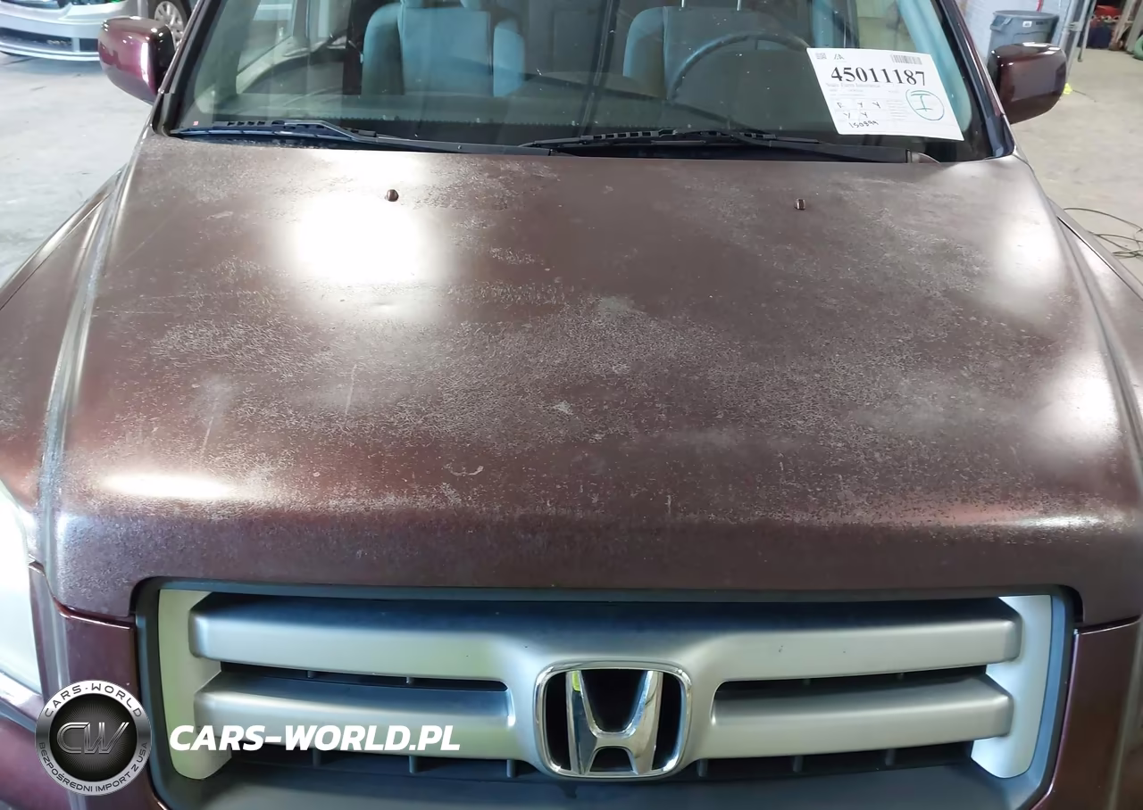 2008 Honda Pilot Se VIN:5FNYF18318B040056 - 18