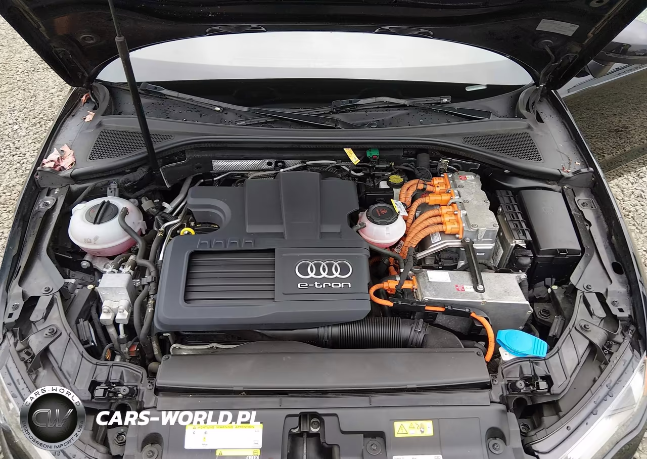 2016 Audi A3 E-Tron 1.4T Premium VIN:WAUTPBFF6GA109905 - 10