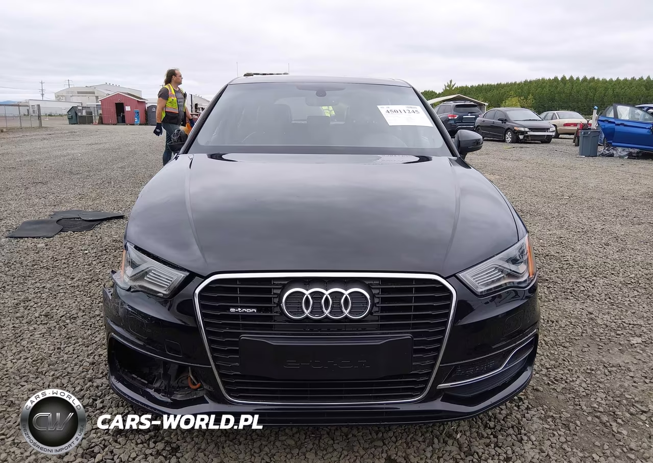 2016 Audi A3 E-Tron 1.4T Premium VIN:WAUTPBFF6GA109905 - 12