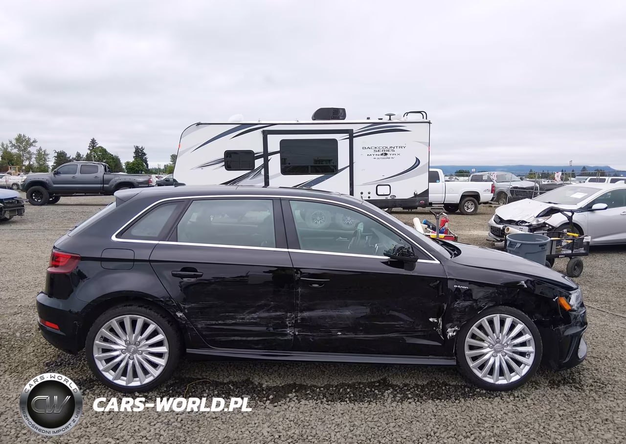 2016 Audi A3 E-Tron 1.4T Premium VIN:WAUTPBFF6GA109905 - 13
