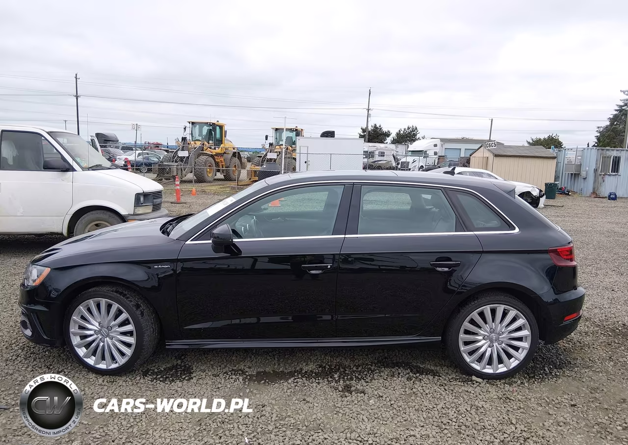 2016 Audi A3 E-Tron 1.4T Premium VIN:WAUTPBFF6GA109905 - 14