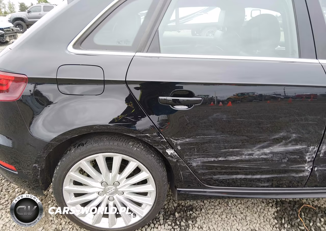 2016 Audi A3 E-Tron 1.4T Premium VIN:WAUTPBFF6GA109905 - 19