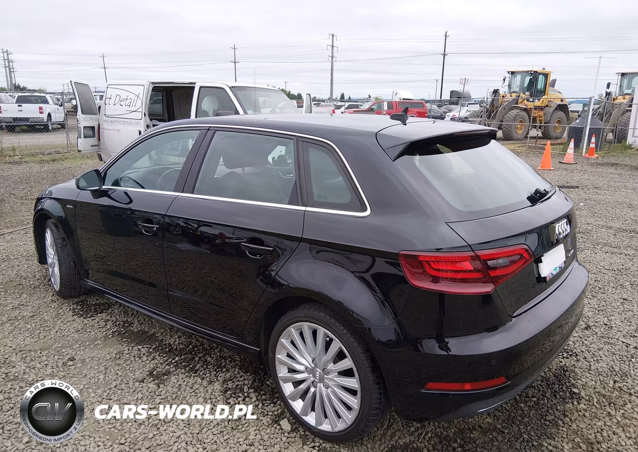 2016 Audi A3 E-Tron 1.4T Premium VIN:WAUTPBFF6GA109905 - 3