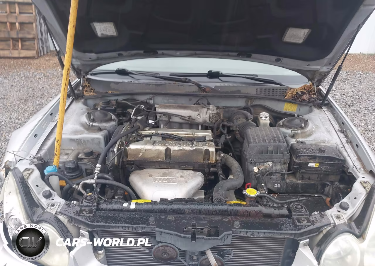 2004 Hyundai Sonata VIN:KMHWF25S44A980245 - 10