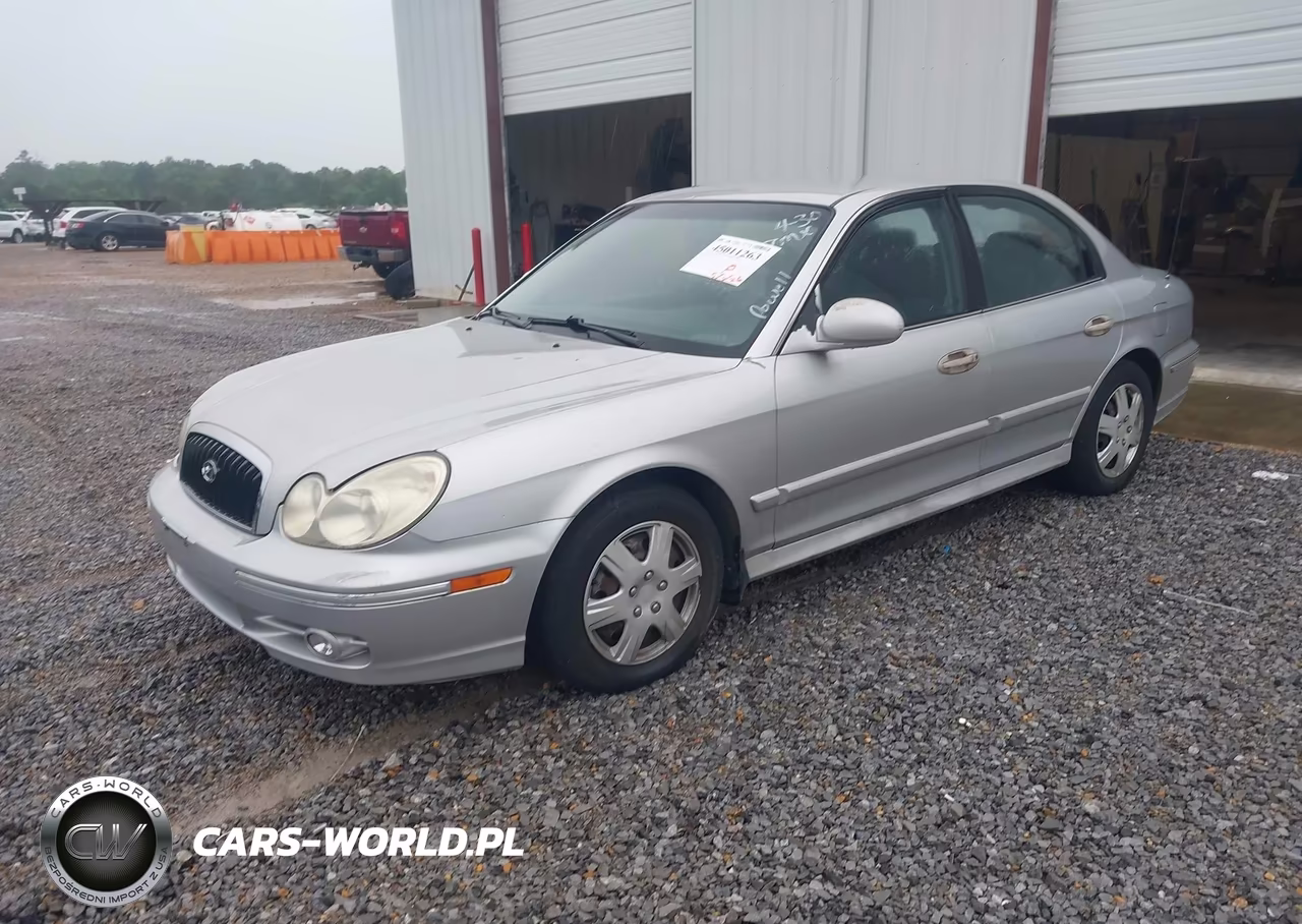 2004 Hyundai Sonata VIN:KMHWF25S44A980245 - 2