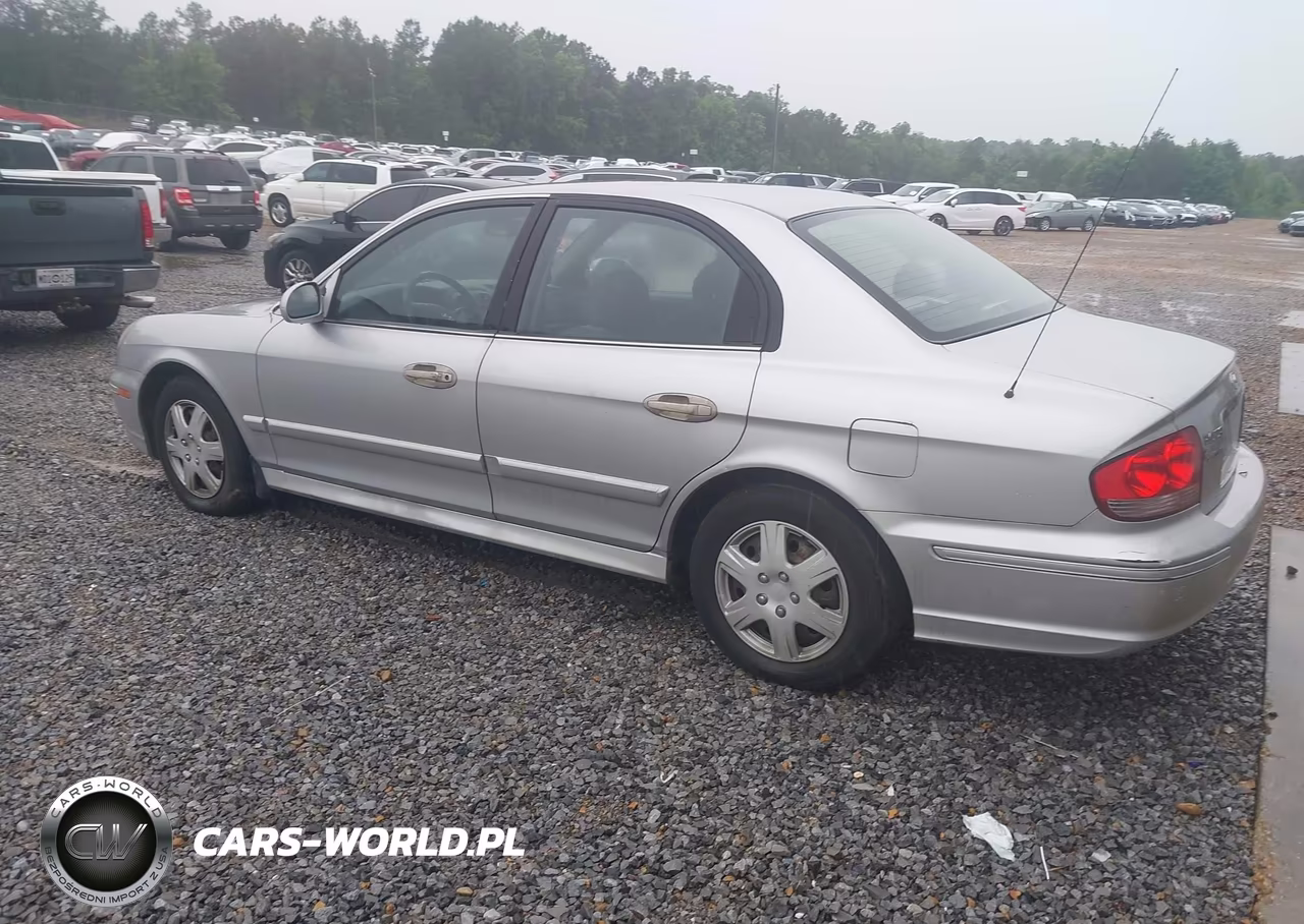 2004 Hyundai Sonata VIN:KMHWF25S44A980245 - 3