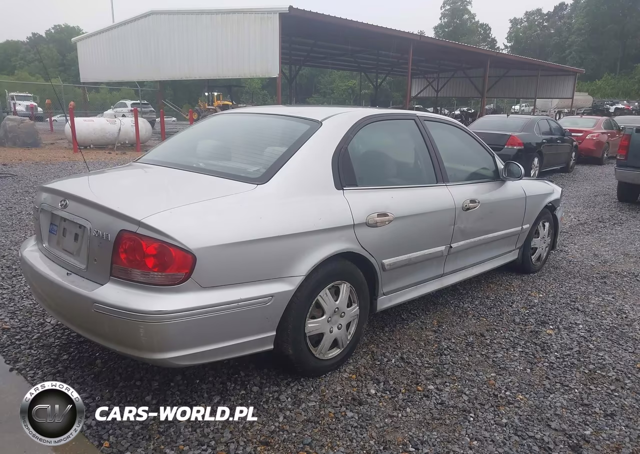 2004 Hyundai Sonata VIN:KMHWF25S44A980245 - 4
