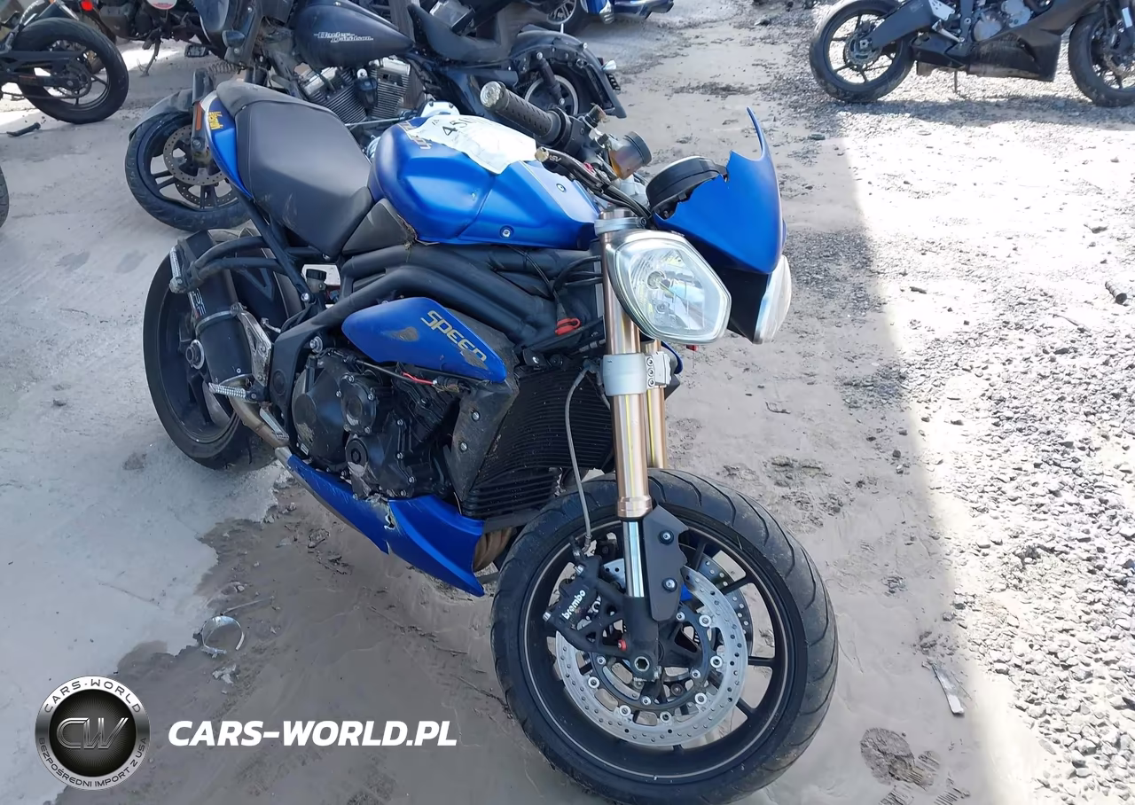 2014 Triumph Motorcycle Speed Triple Abs