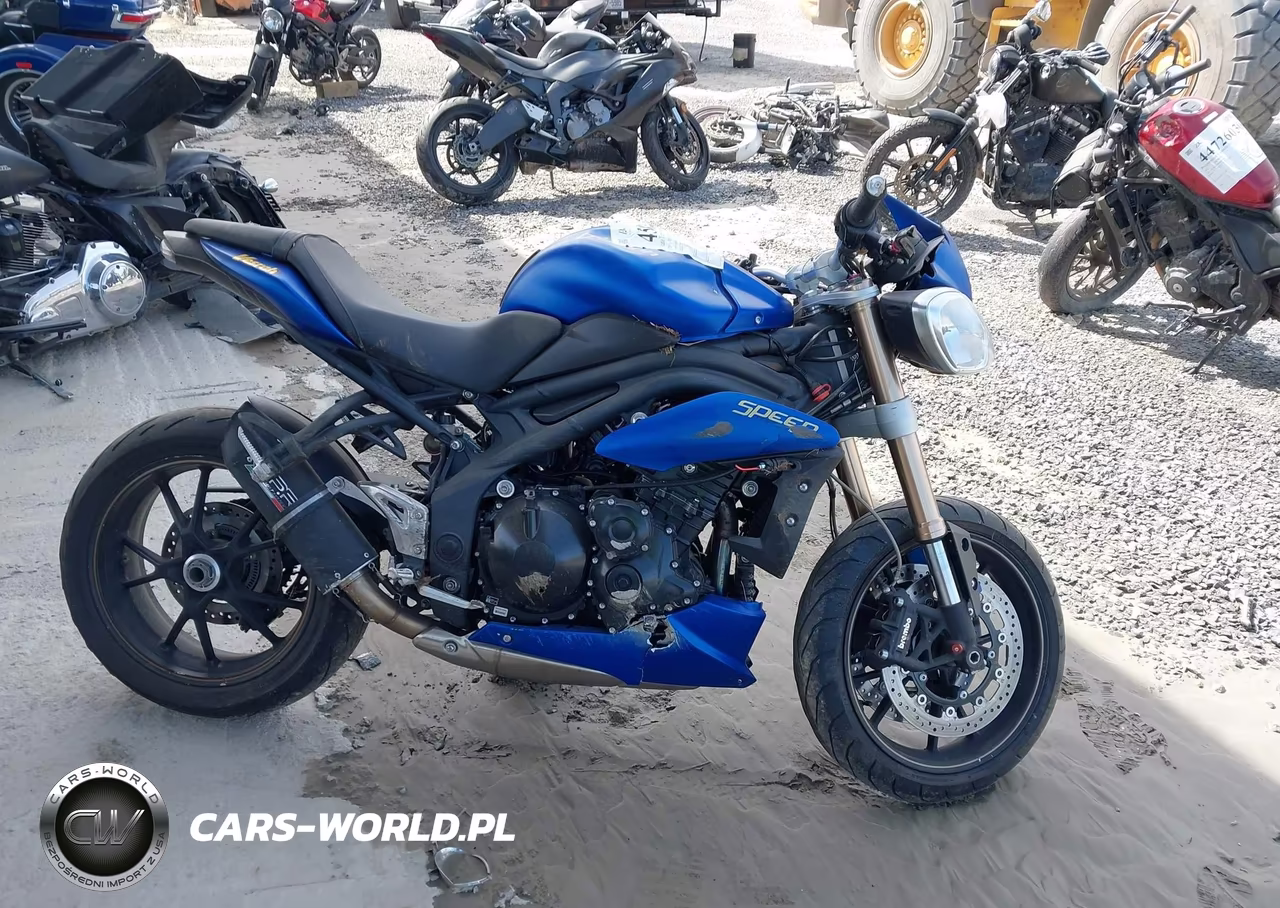 2014 Triumph Motorcycle Speed Triple Abs VIN:SMTN01PK1ET618065 - 12