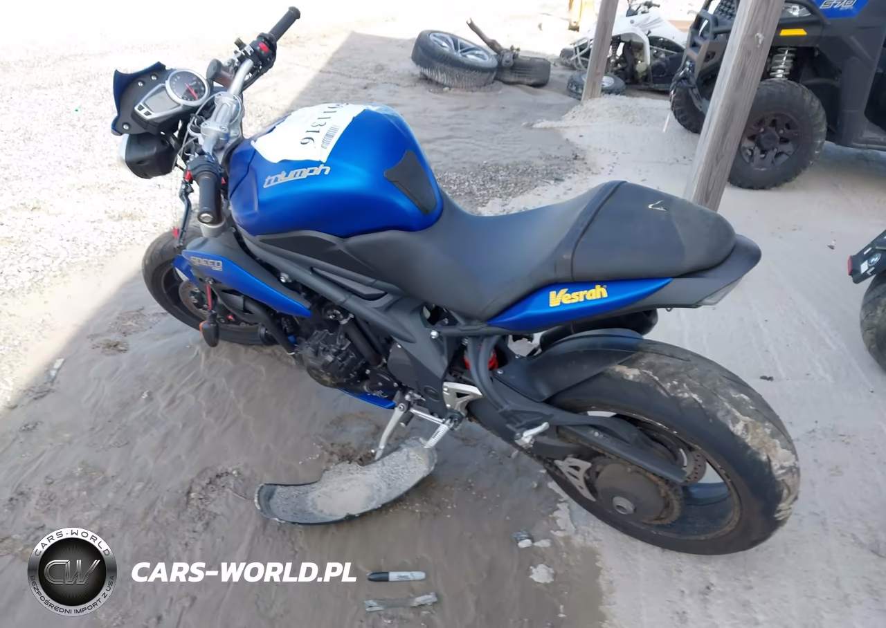 2014 Triumph Motorcycle Speed Triple Abs VIN:SMTN01PK1ET618065 - 13