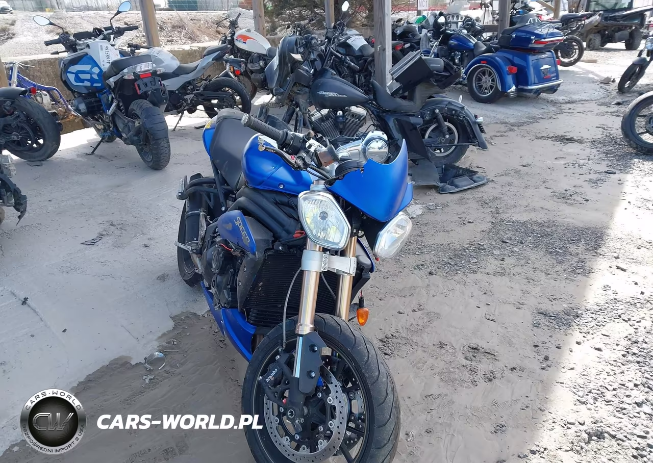 2014 Triumph Motorcycle Speed Triple Abs VIN:SMTN01PK1ET618065 - 5
