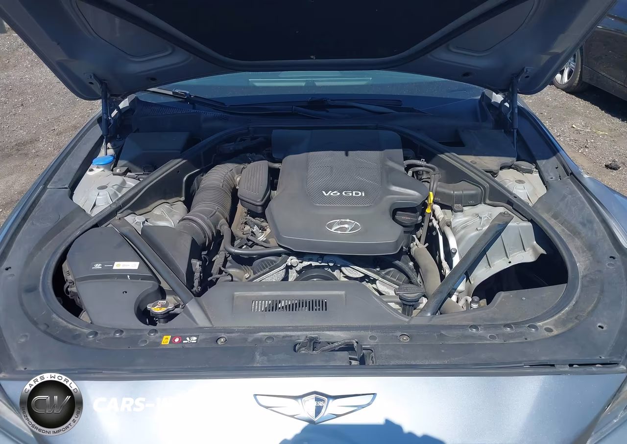 2016 Hyundai Genesis 3.8 VIN:KMHGN4JE4GU141654 - 10