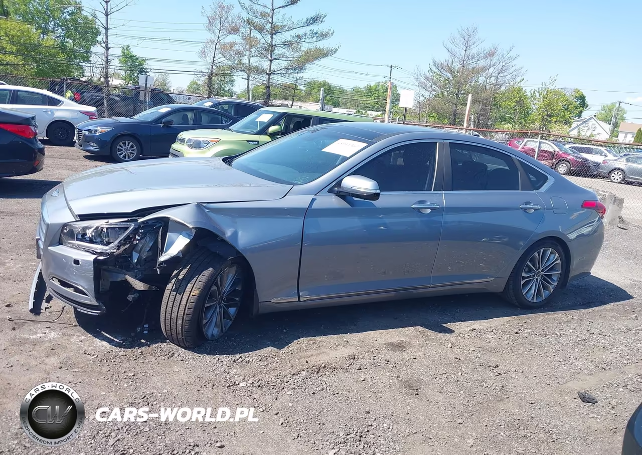 2016 Hyundai Genesis 3.8 VIN:KMHGN4JE4GU141654 - 14