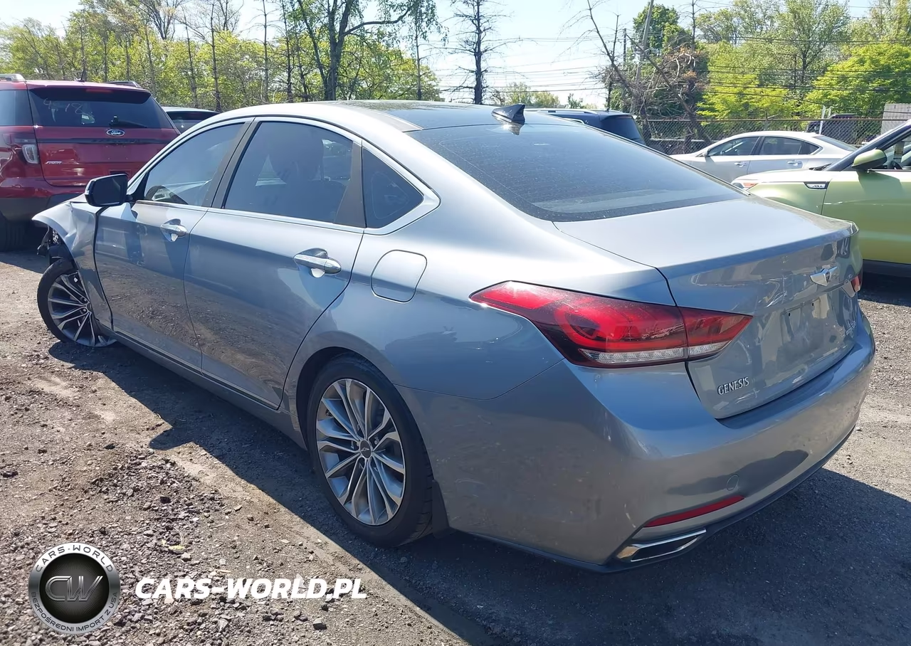 2016 Hyundai Genesis 3.8 VIN:KMHGN4JE4GU141654 - 3