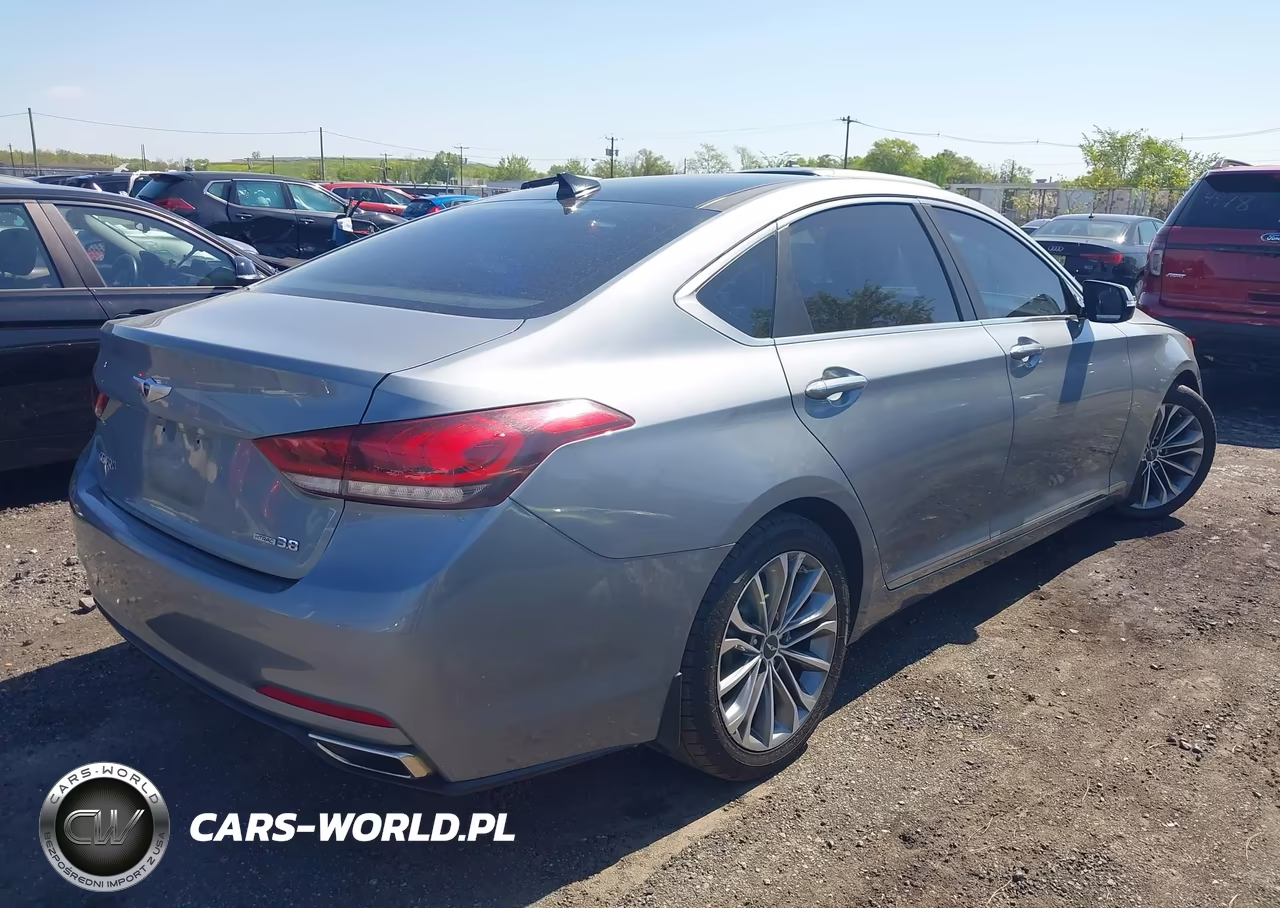 2016 Hyundai Genesis 3.8 VIN:KMHGN4JE4GU141654 - 4