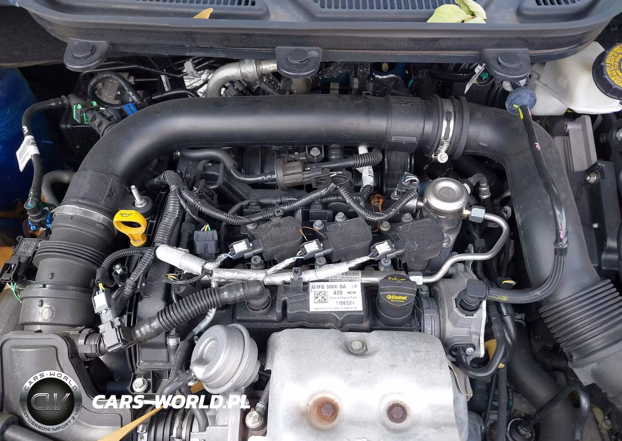 2019 Ford Ecosport Se VIN:MAJ3S2GE5KC261829 - 10