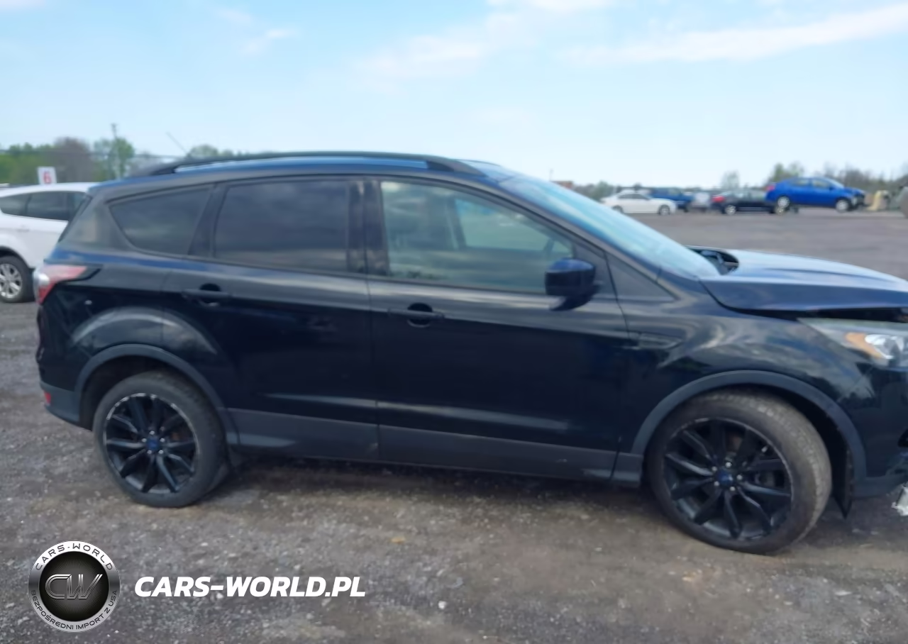 2017 Ford Escape Se VIN:1FMCU9G92HUB13510 - 14