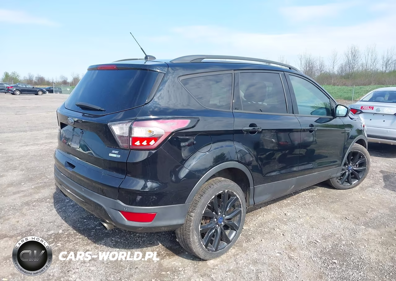 2017 Ford Escape Se VIN:1FMCU9G92HUB13510 - 4