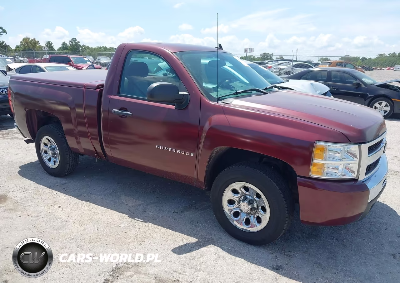 2009 Chevrolet Silverado 1500 Work Truck