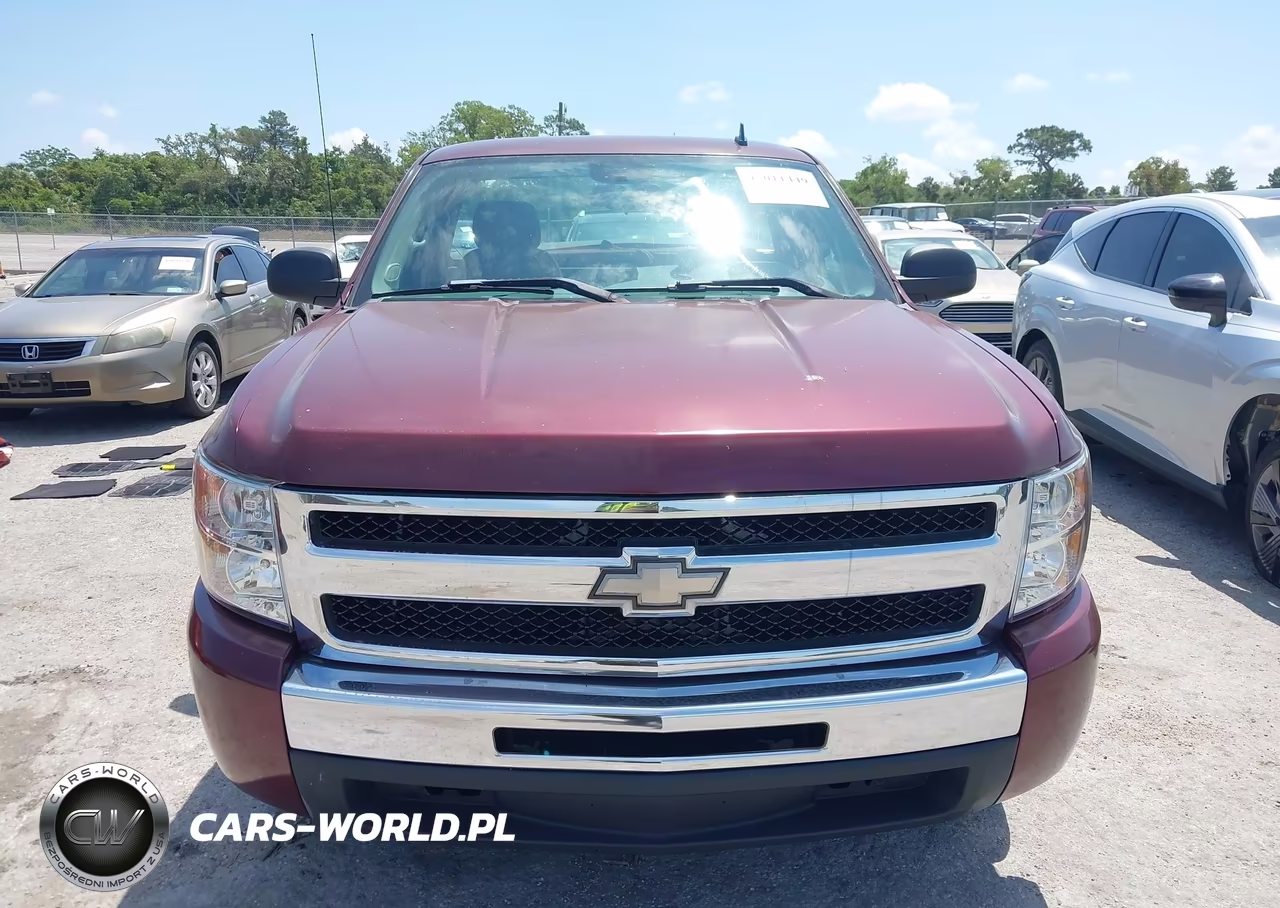 2009 Chevrolet Silverado 1500 Work Truck VIN:1GCEC14C69Z250651 - 12