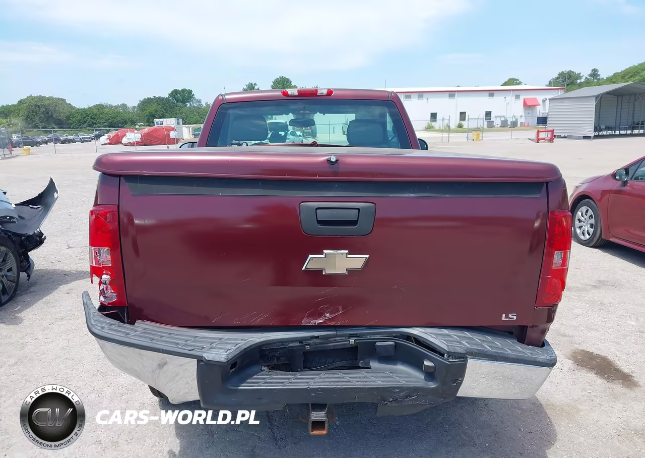 2009 Chevrolet Silverado 1500 Work Truck VIN:1GCEC14C69Z250651 - 16