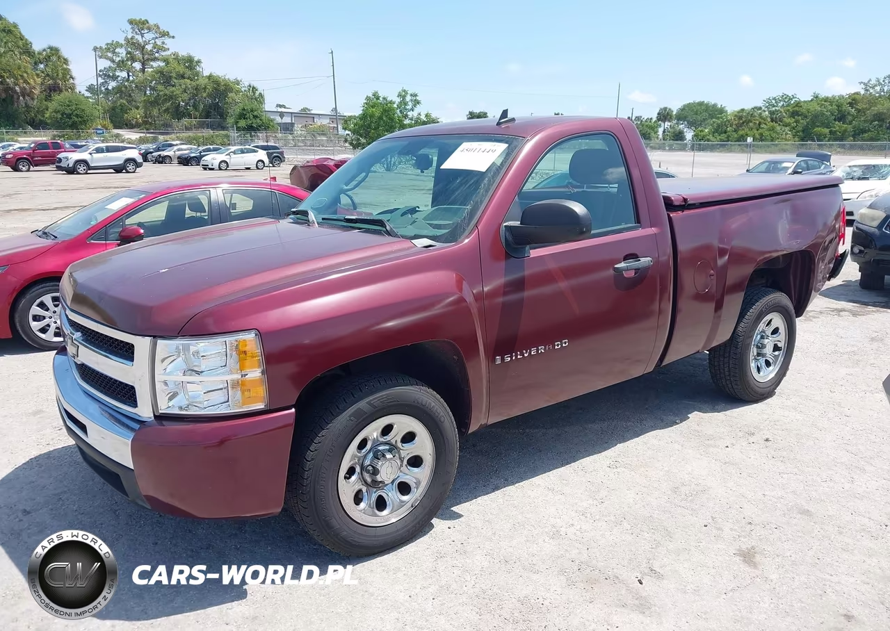 2009 Chevrolet Silverado 1500 Work Truck VIN:1GCEC14C69Z250651 - 2