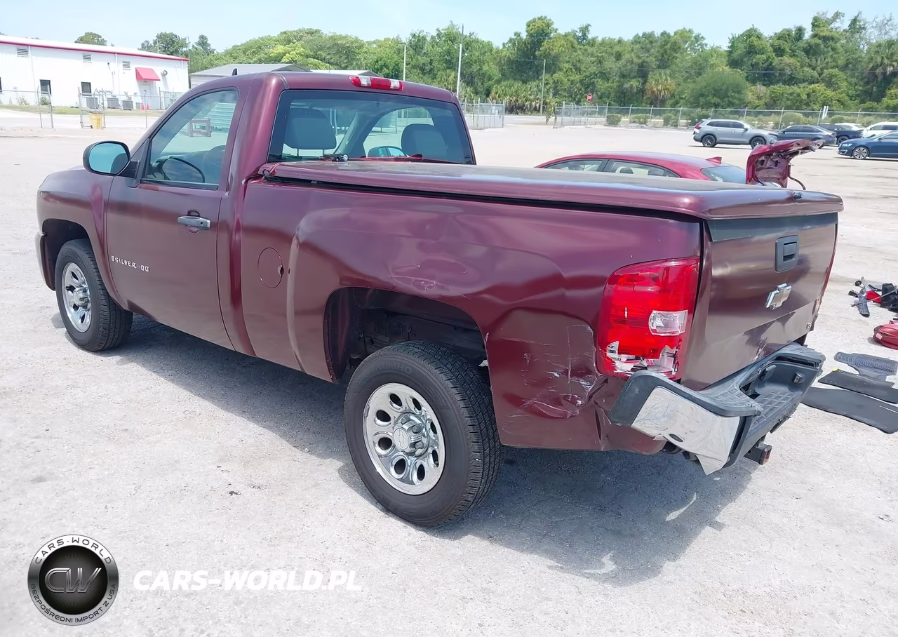 2009 Chevrolet Silverado 1500 Work Truck VIN:1GCEC14C69Z250651 - 3