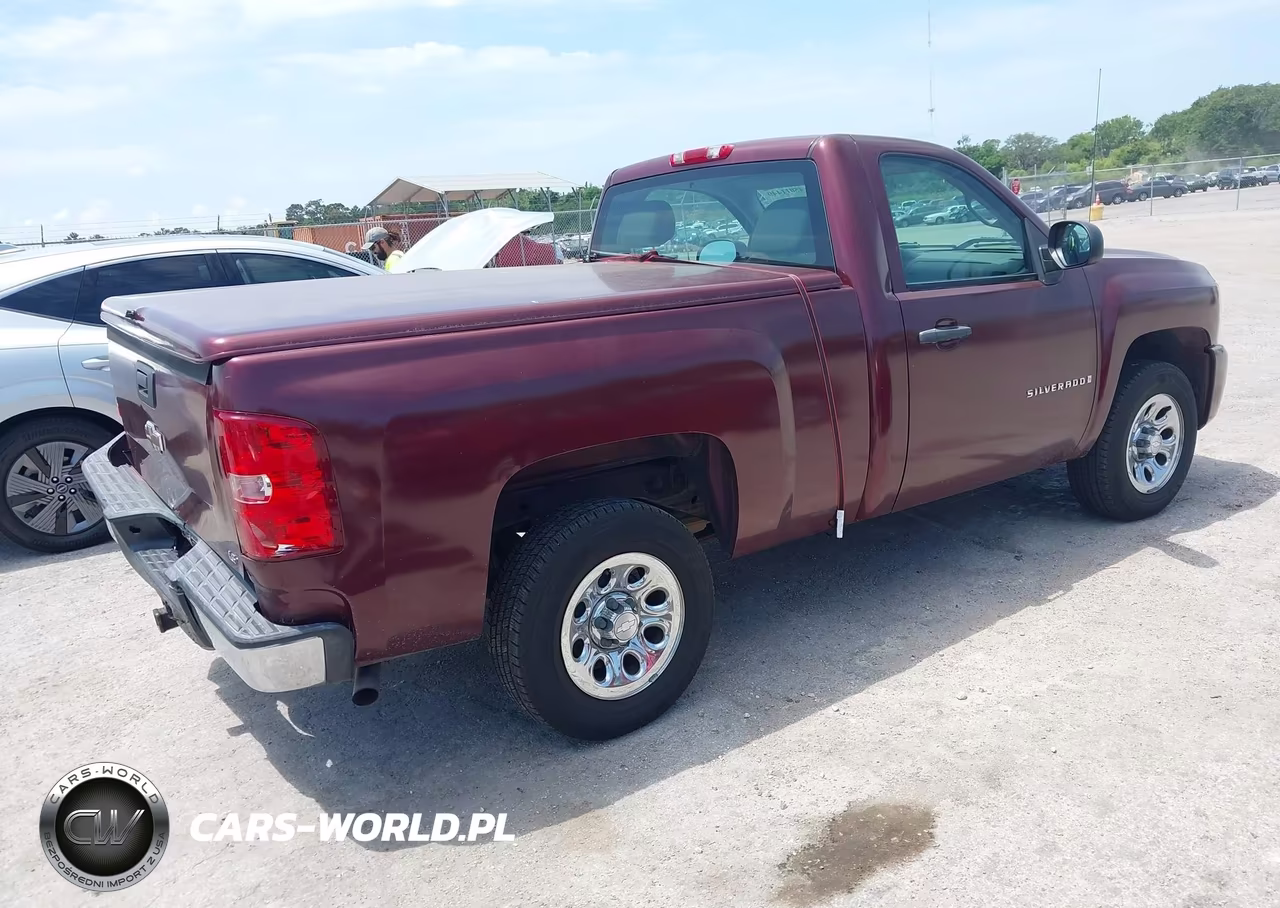 2009 Chevrolet Silverado 1500 Work Truck VIN:1GCEC14C69Z250651 - 4