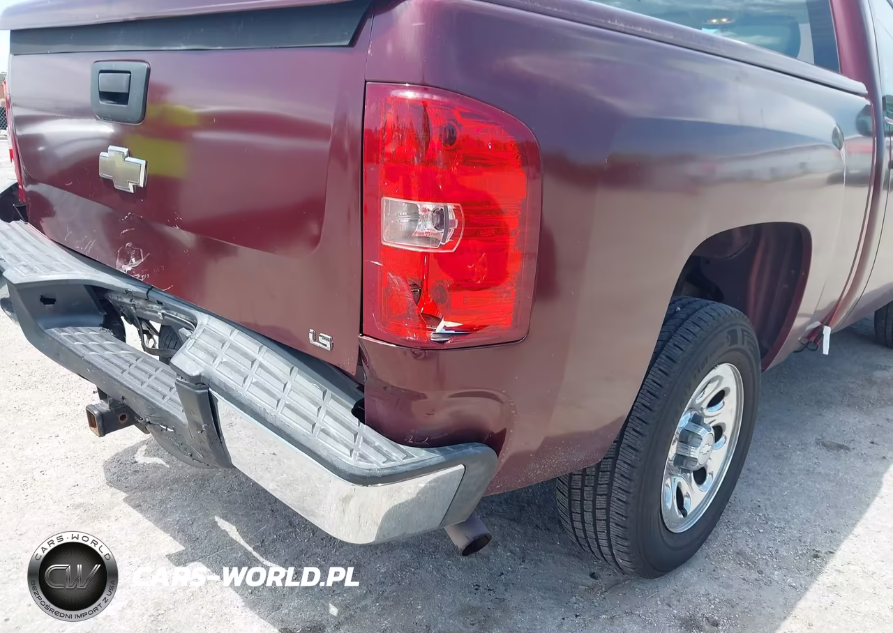 2009 Chevrolet Silverado 1500 Work Truck VIN:1GCEC14C69Z250651 - 6