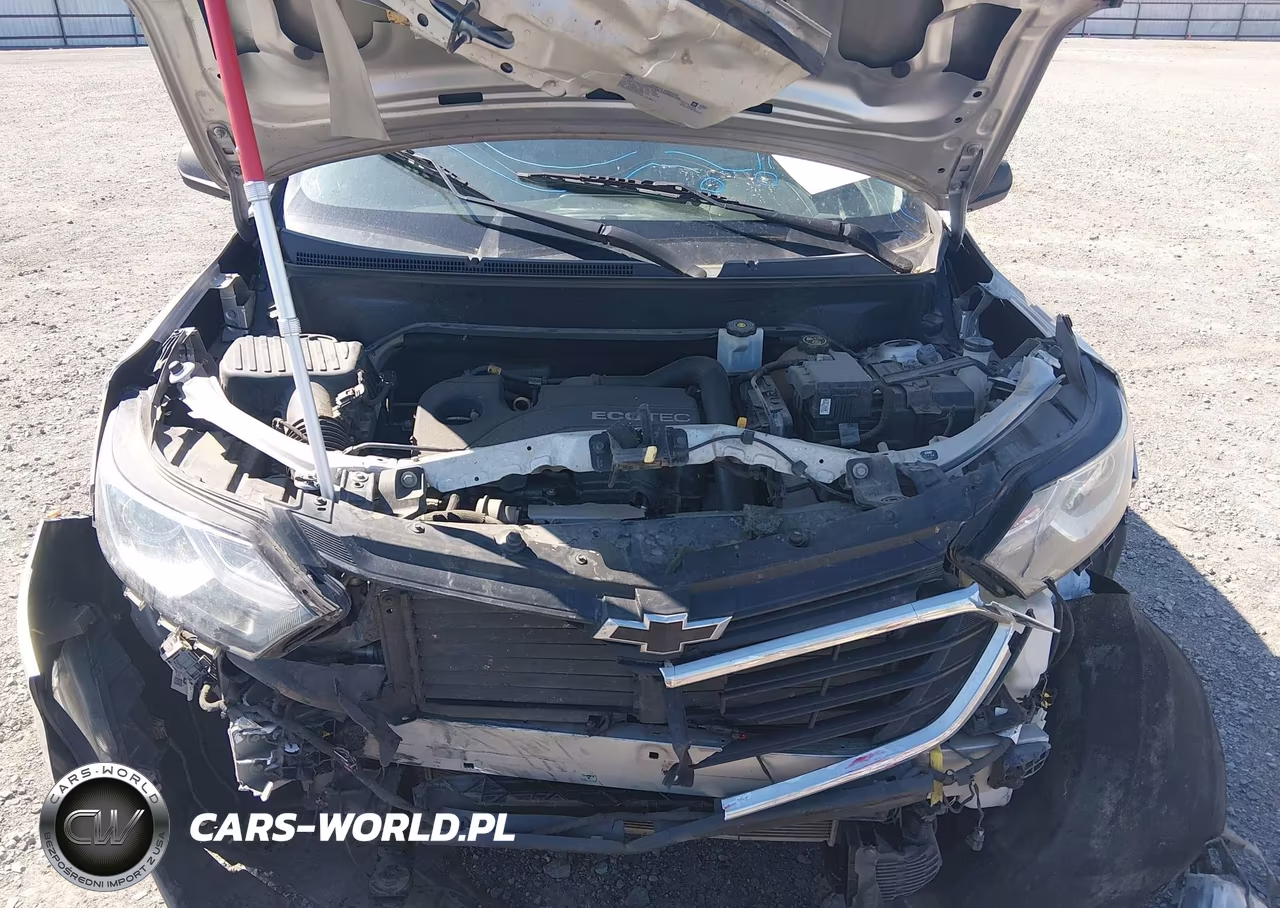 2019 Chevrolet Equinox Ls VIN:3GNAXSEV8KS518411 - 10