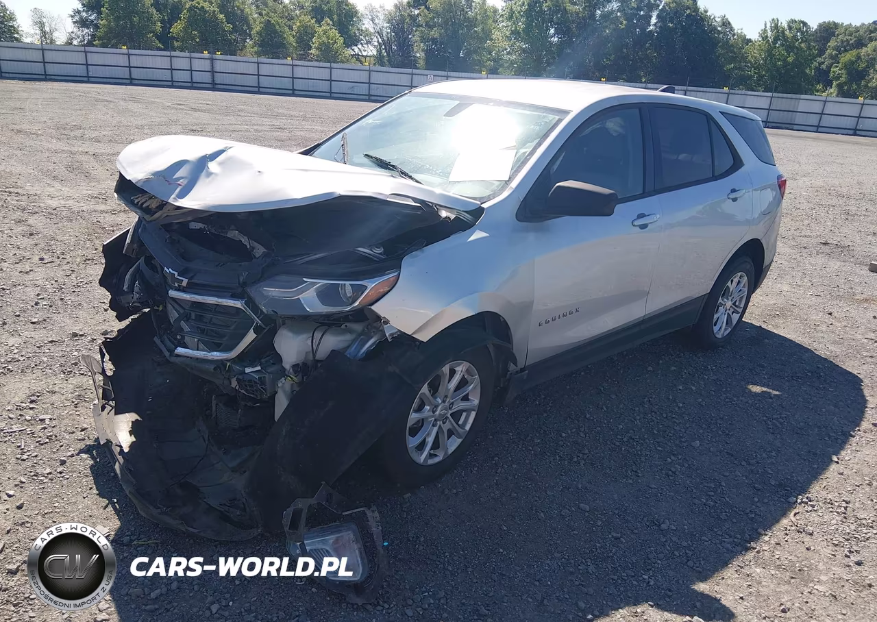 2019 Chevrolet Equinox Ls VIN:3GNAXSEV8KS518411 - 2