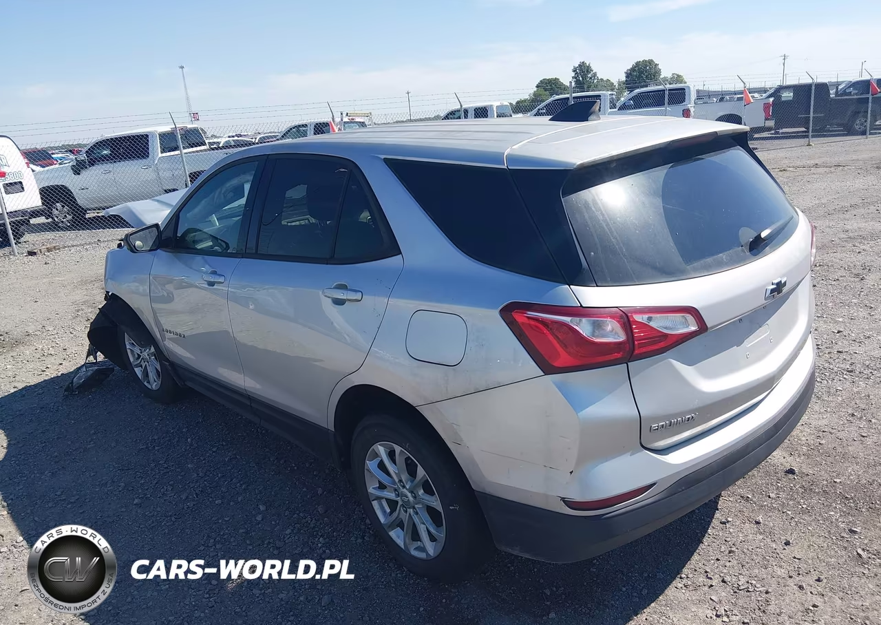 2019 Chevrolet Equinox Ls VIN:3GNAXSEV8KS518411 - 3