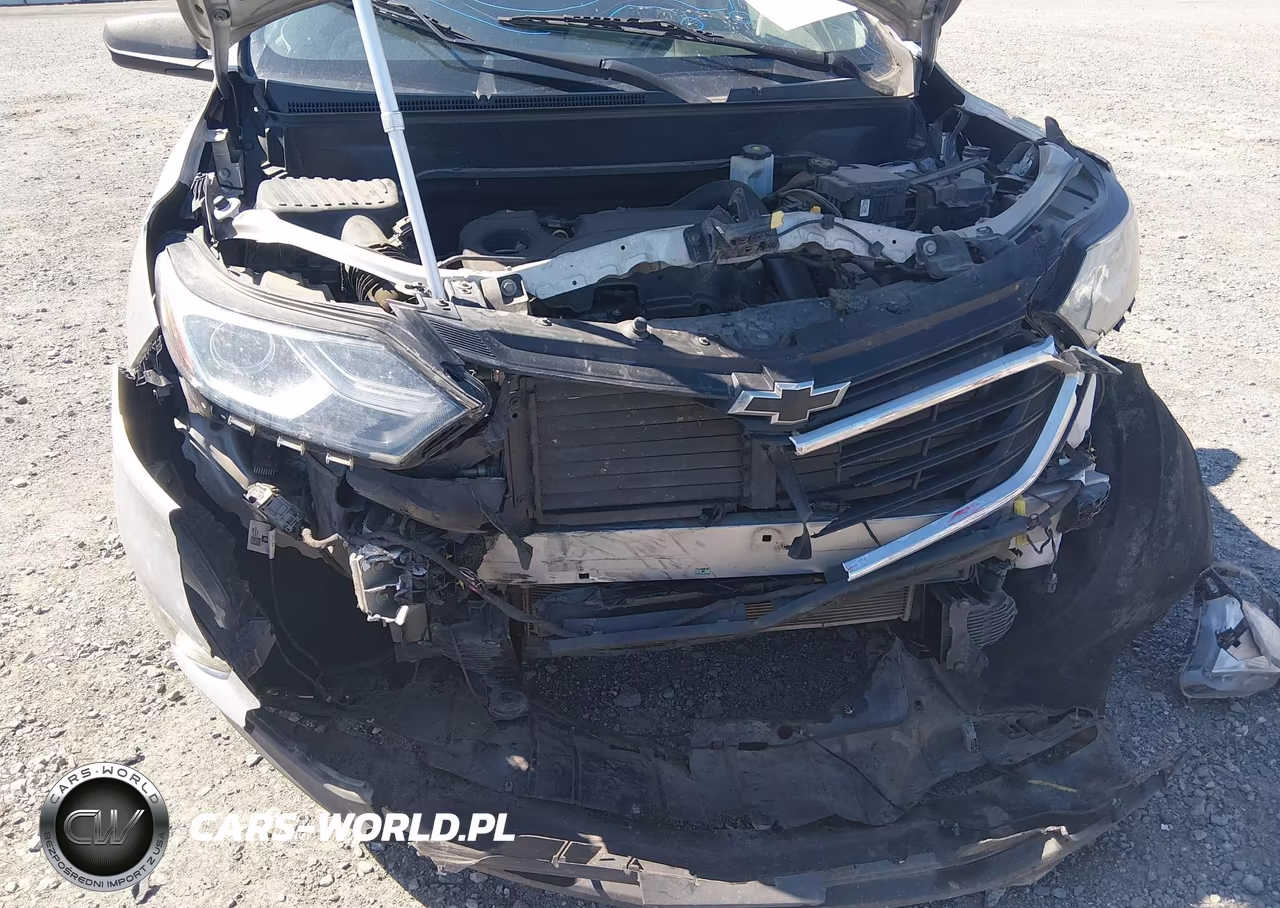 2019 Chevrolet Equinox Ls VIN:3GNAXSEV8KS518411 - 6