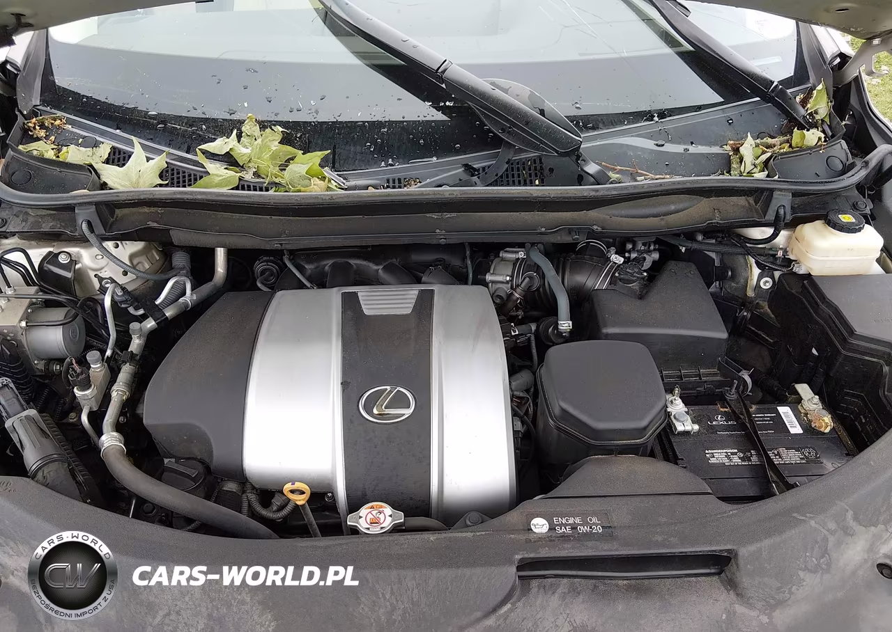 2018 Lexus Rx 350 VIN:2T2BZMCA0JC146976 - 10