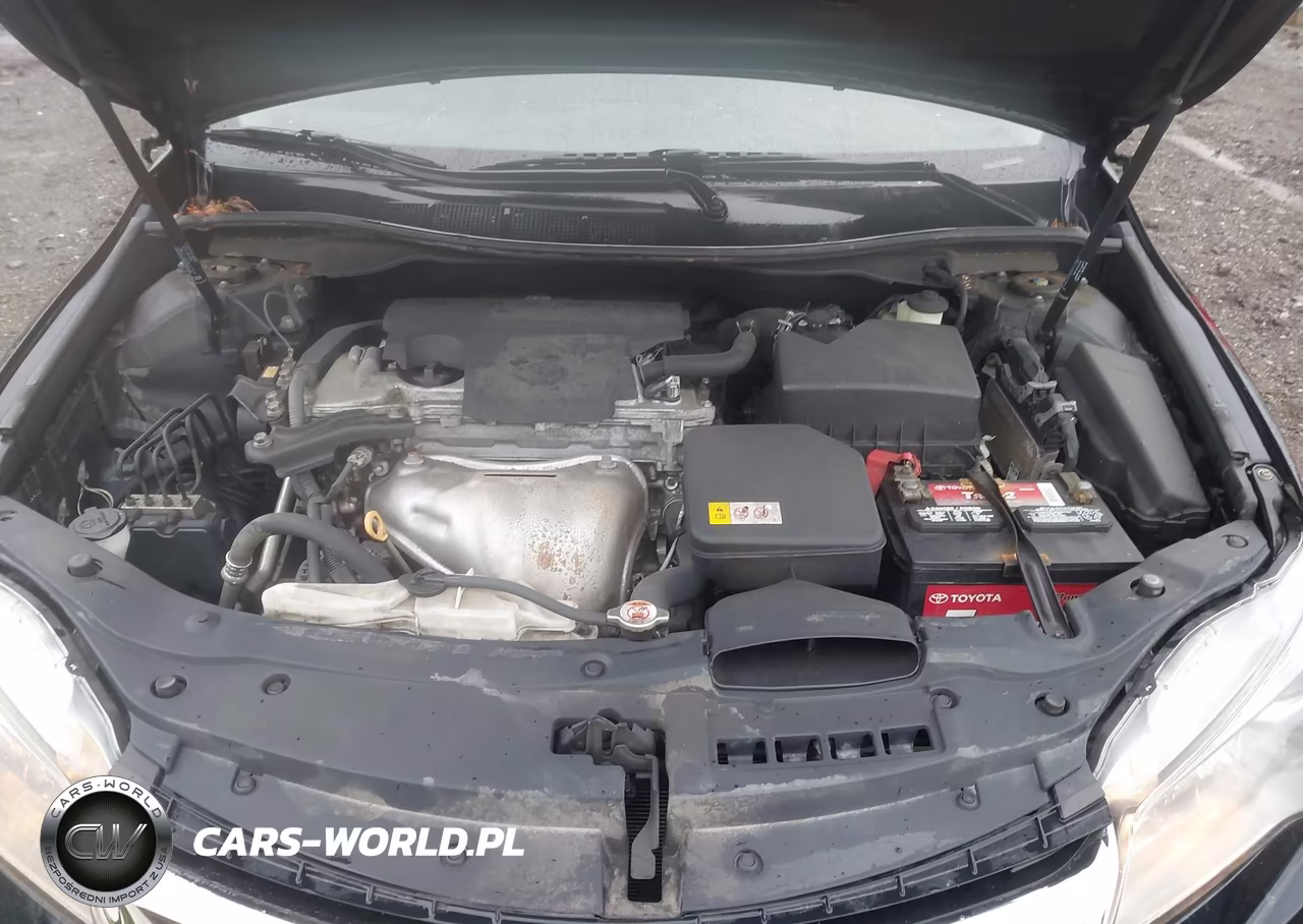 2017 Toyota Camry Se VIN:4T1BF1FK3HU764656 - 10