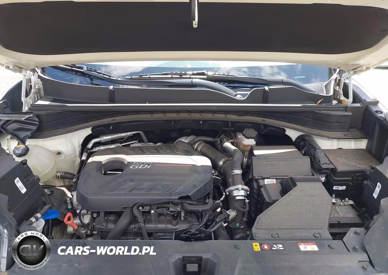 2021 Kia Sportage Sx Turbo VIN:KNDPRCA66M7850494 - 10