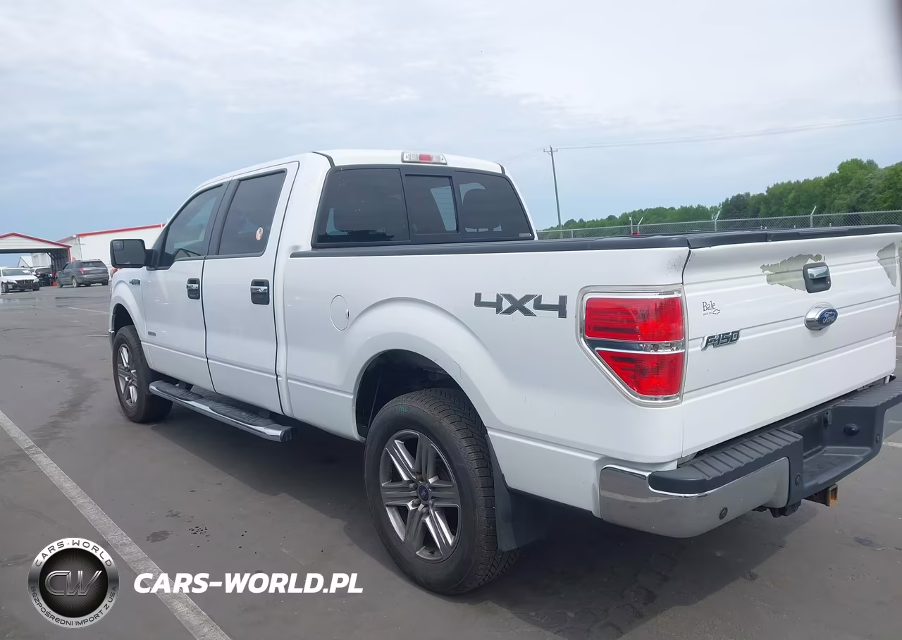 2014 Ford F-150 Xlt VIN:1FTFW1ETXEKG42397 - 3