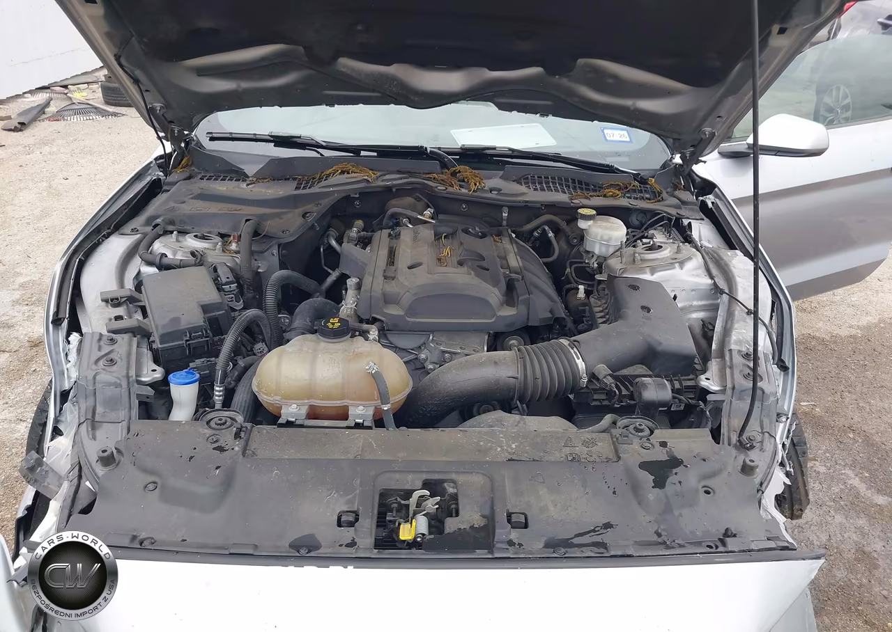 2020 Ford Mustang Ecoboost Fastback VIN:1FA6P8TH3L5130048 - 10