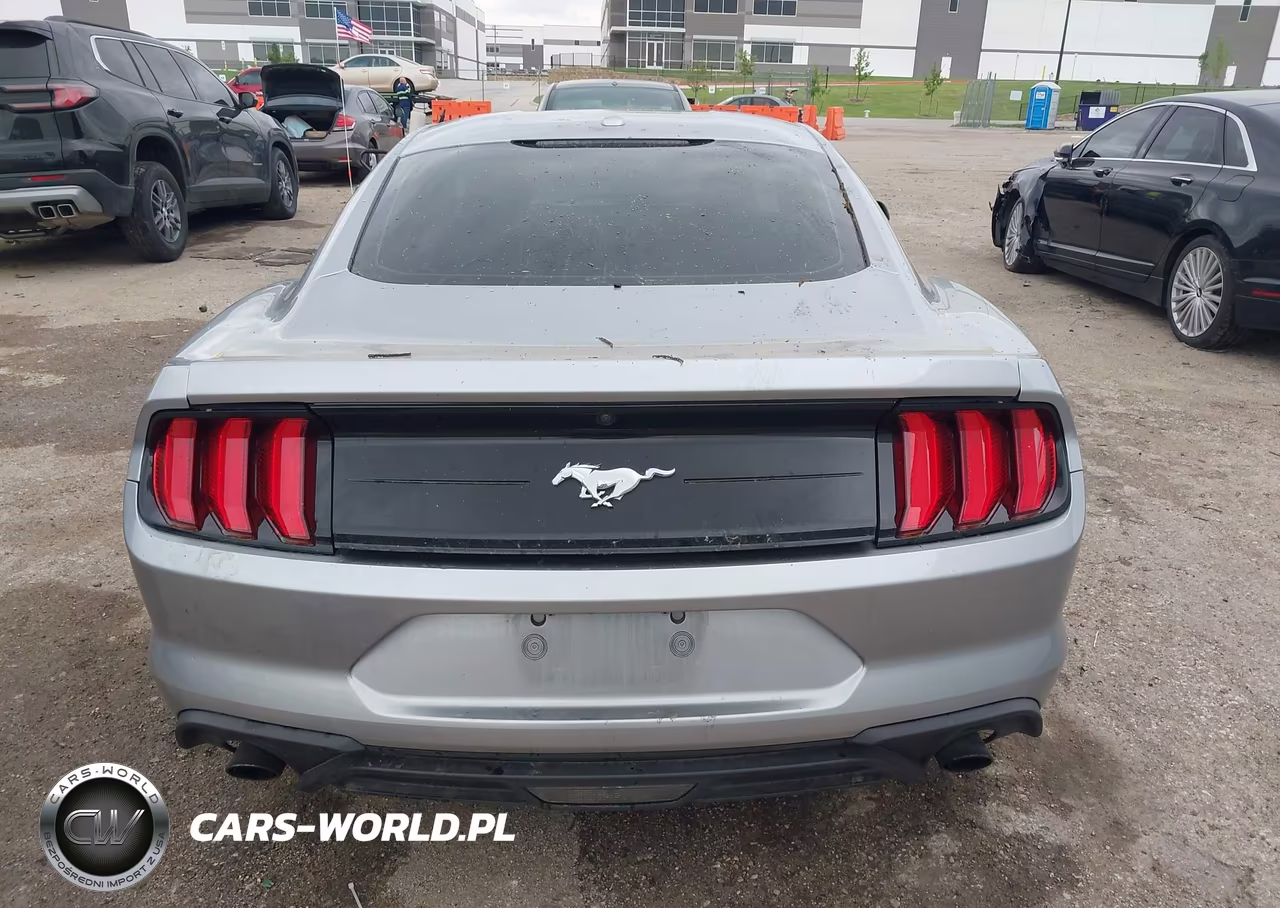 2020 Ford Mustang Ecoboost Fastback VIN:1FA6P8TH3L5130048 - 17