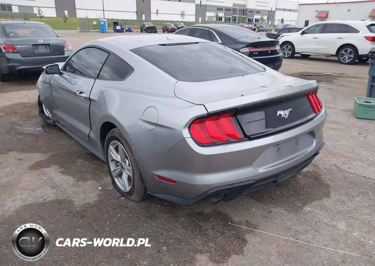 2020 Ford Mustang Ecoboost Fastback VIN:1FA6P8TH3L5130048 - 3