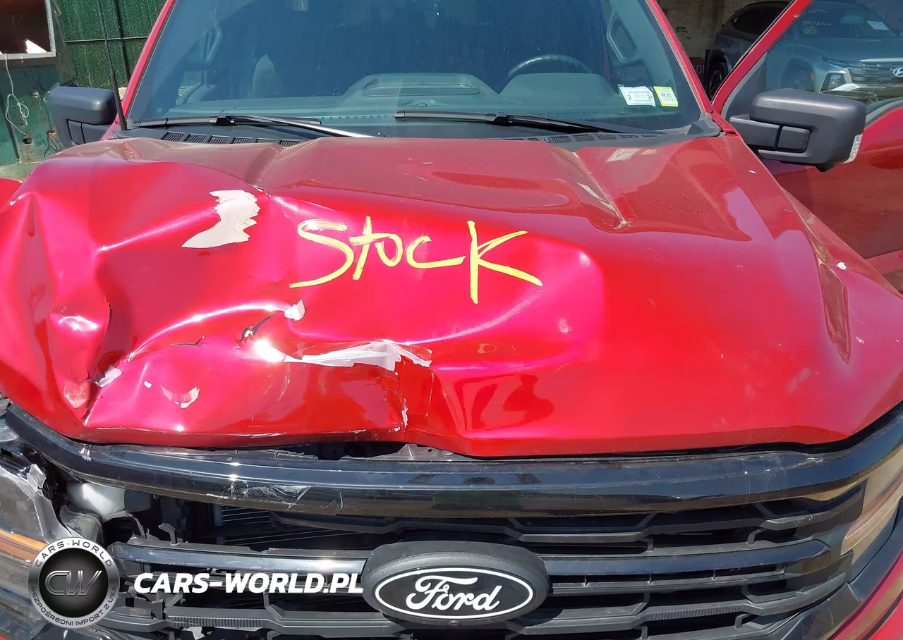 2024 Ford F-150 Xlt VIN:1FTFW3L51RKF56613 - 10
