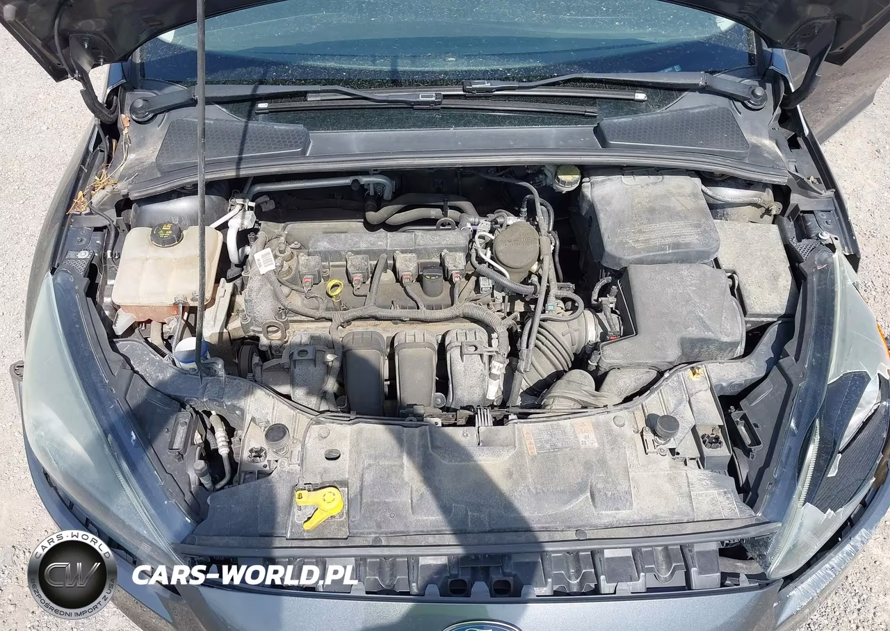 2015 Ford Focus Se VIN:1FADP3F24FL200903 - 10