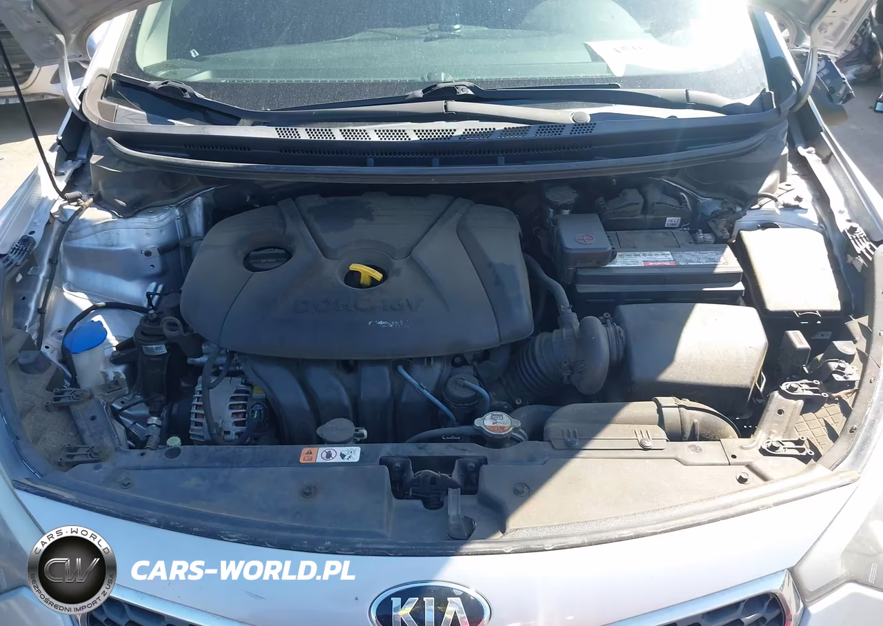 2016 Kia Forte Lx VIN:KNAFK4A60G5508204 - 10