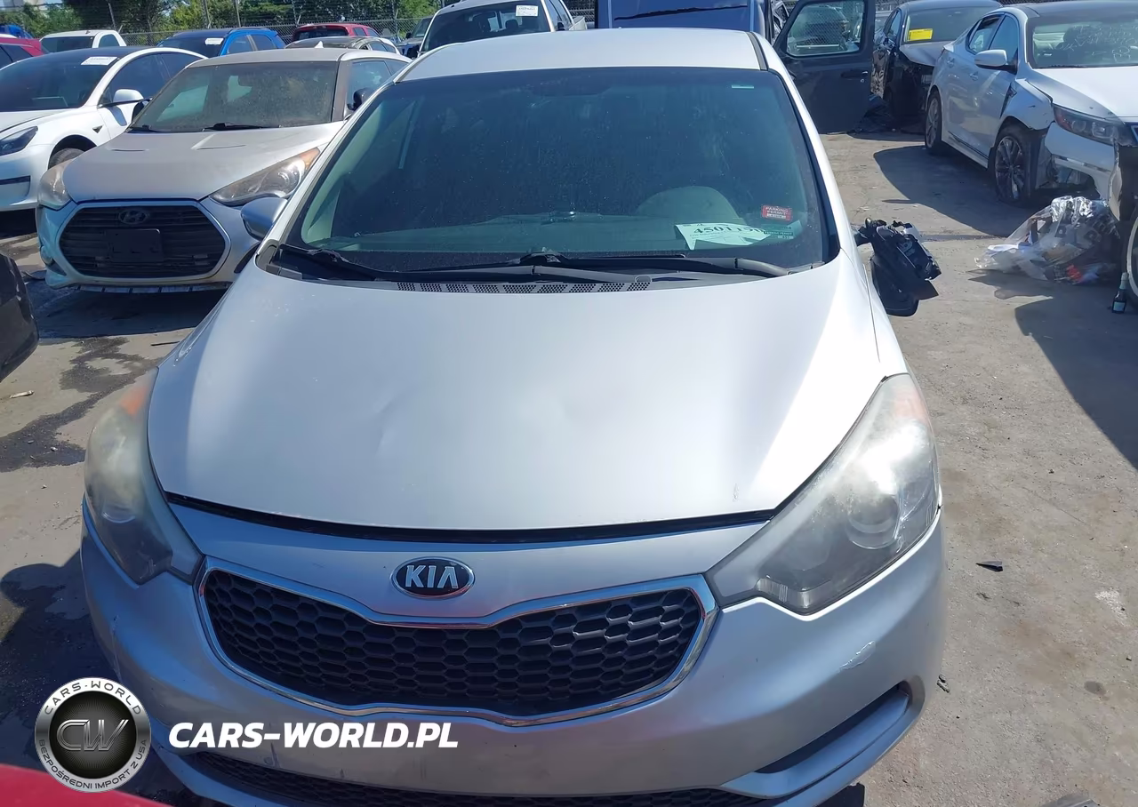 2016 Kia Forte Lx VIN:KNAFK4A60G5508204 - 12
