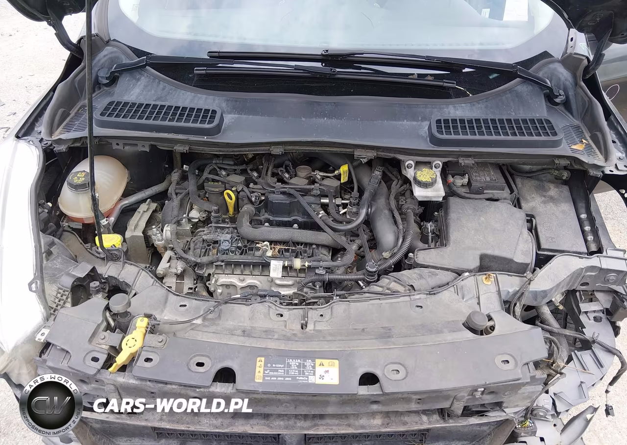 2019 Ford Escape Se VIN:1FMCU0GD1KUA29895 - 10