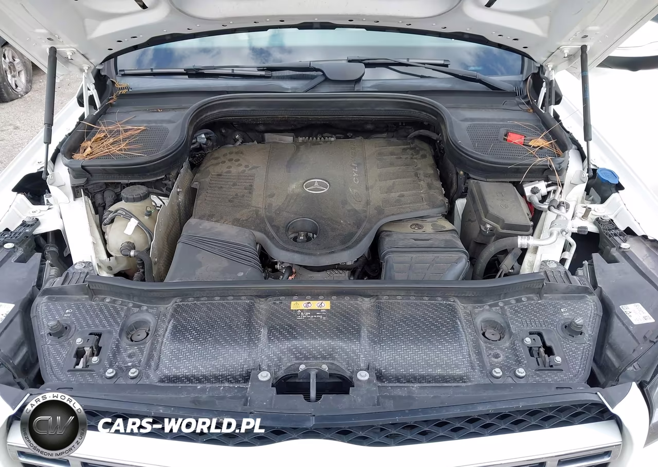 2020 Mercedes-Benz Gls 450 4Matic VIN:4JGFF5KE4LA103933 - 10