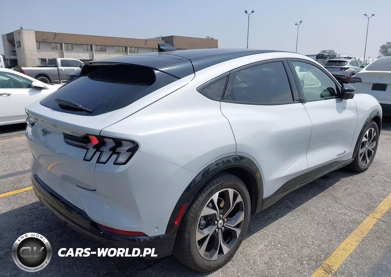 2023 Ford Mustang Mach-E Premium VIN:3FMTK3R73PMA41430 - 4