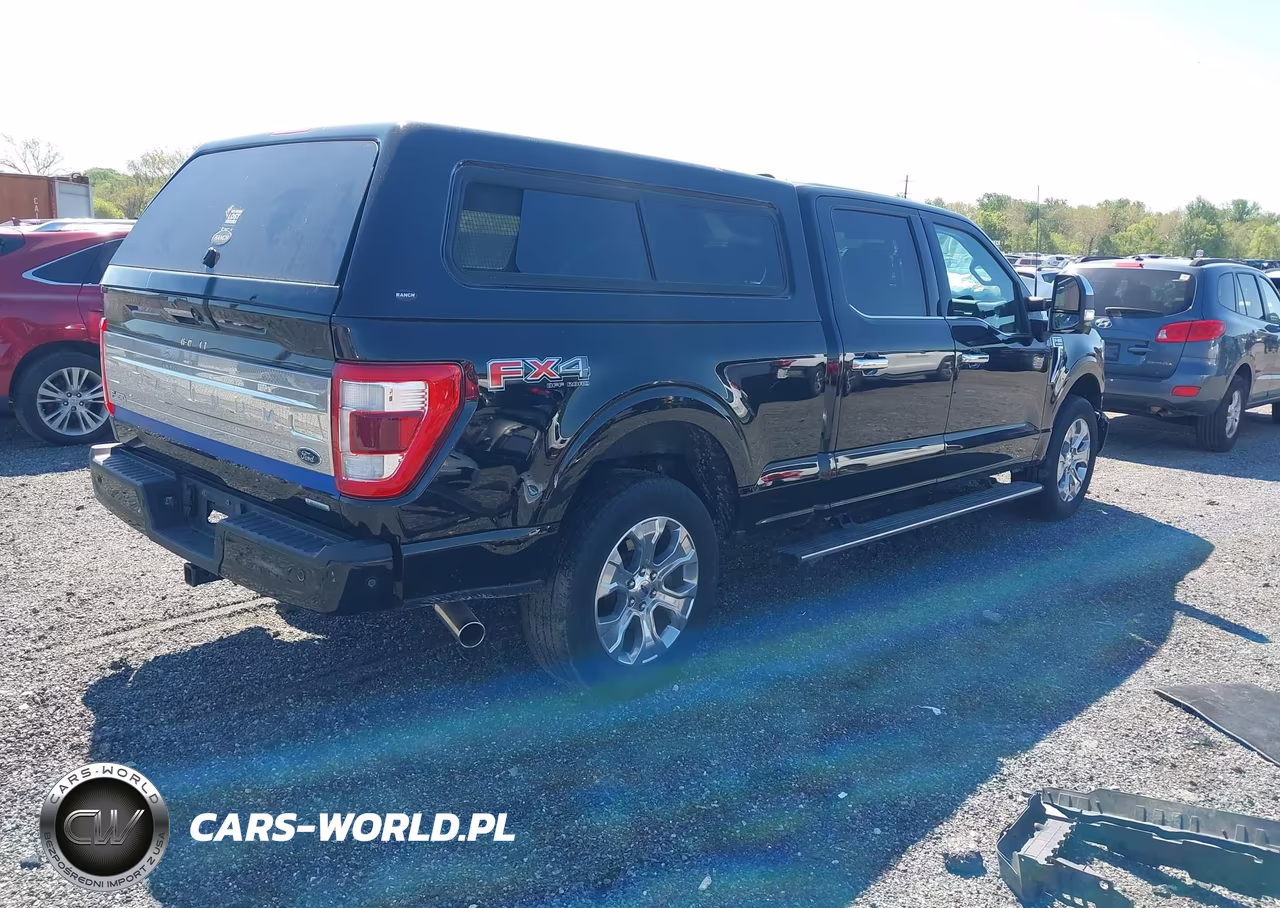 2022 Ford F-150 Platinum VIN:1FTFW1E84NFB08283 - 4