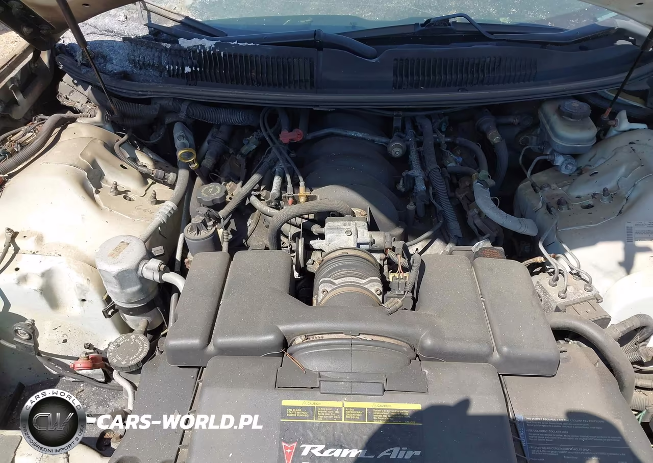 2000 Pontiac Firebird Trans Am VIN:2G2FV22G6Y2140652 - 10
