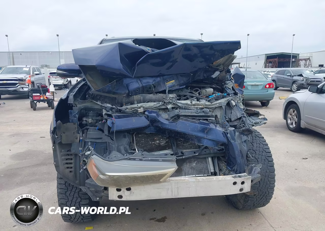 2019 Toyota 4Runner Trd Off Road Premium VIN:JTEBU5JR7K5646290 - 13